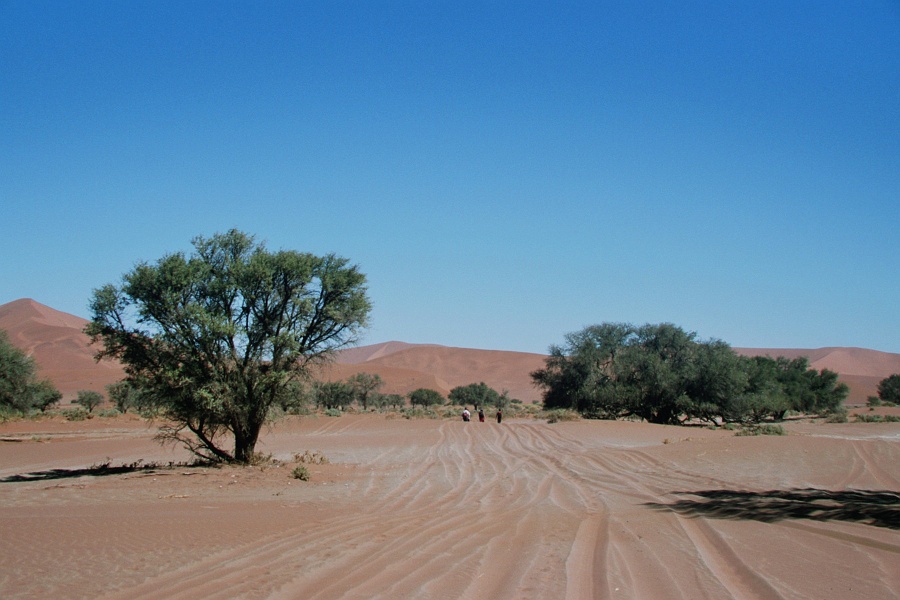 Namib102