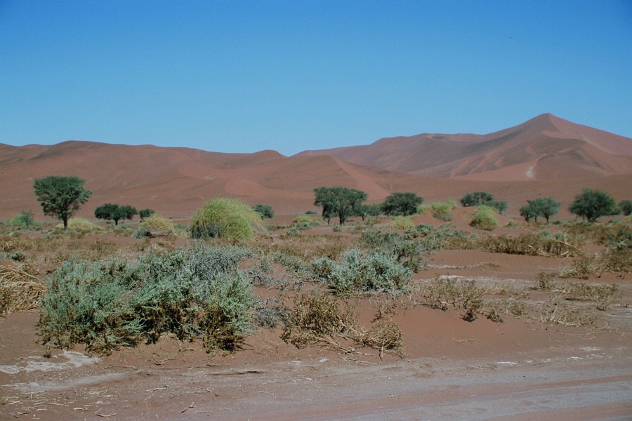Namib103