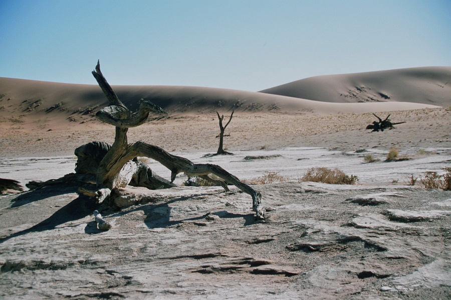 Namib112