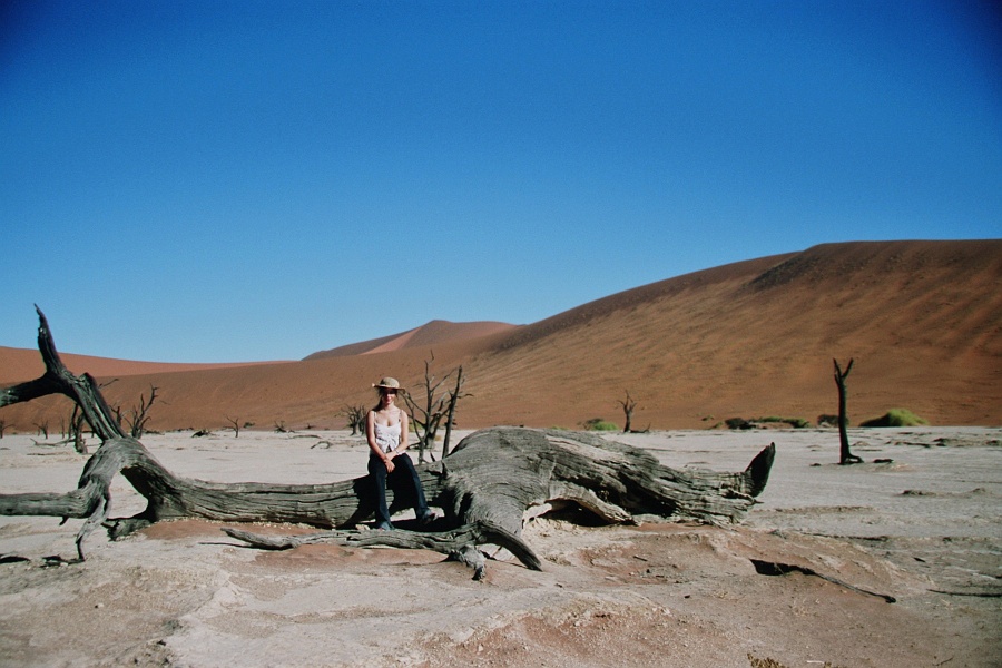 Namib115