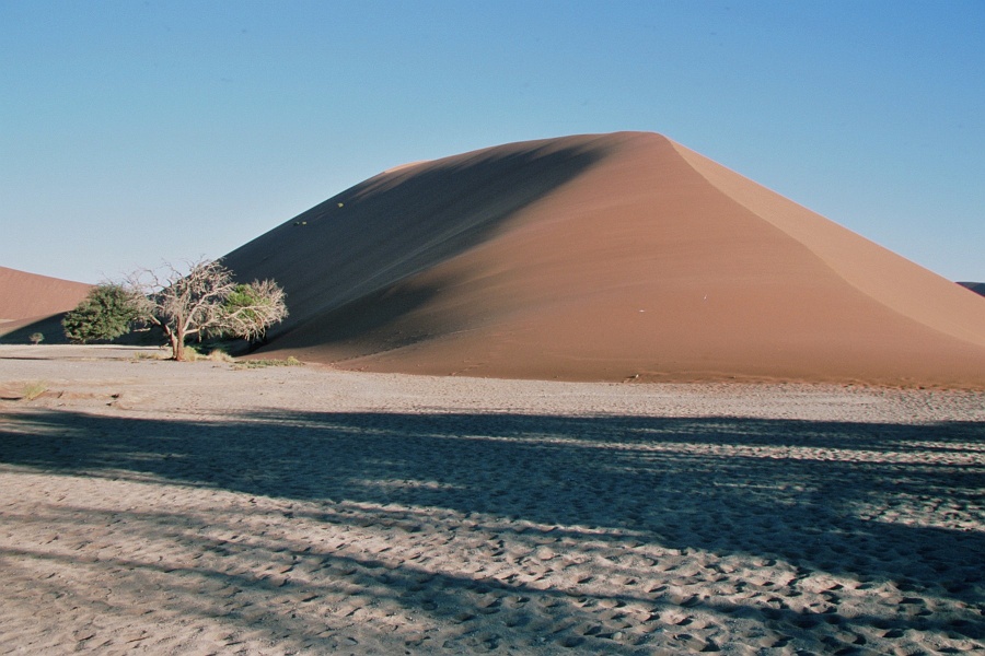 Namib122