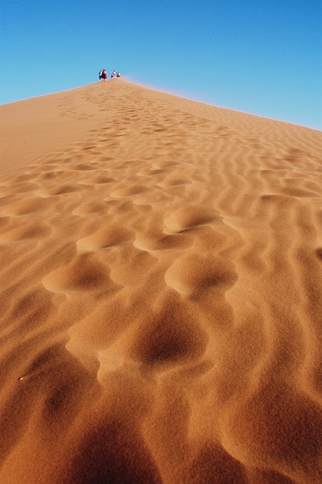 Namib130