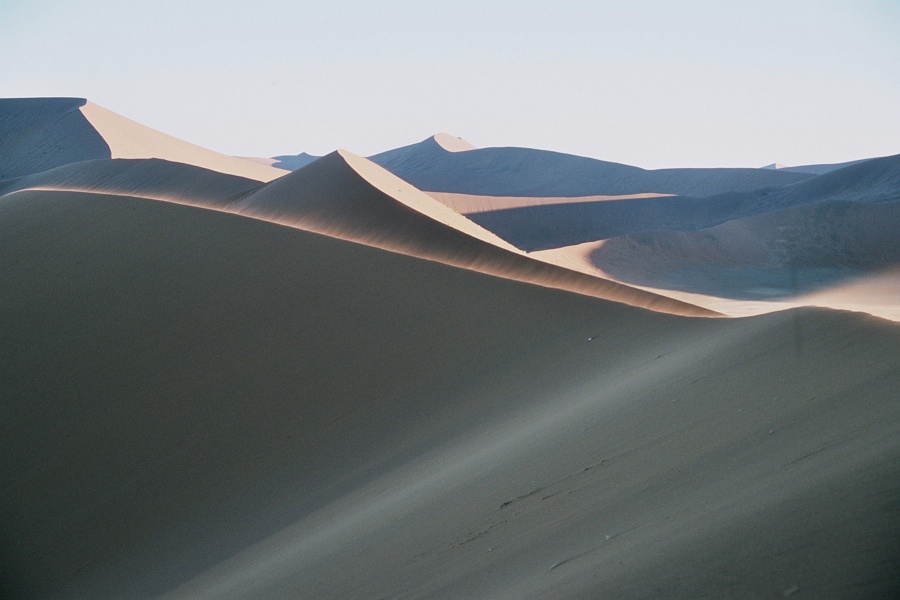 Namib201