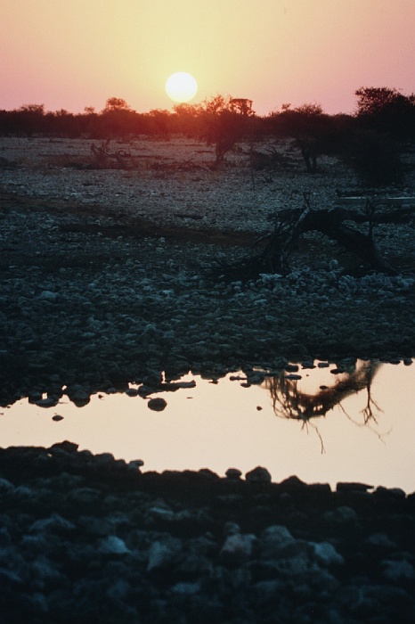Namib435