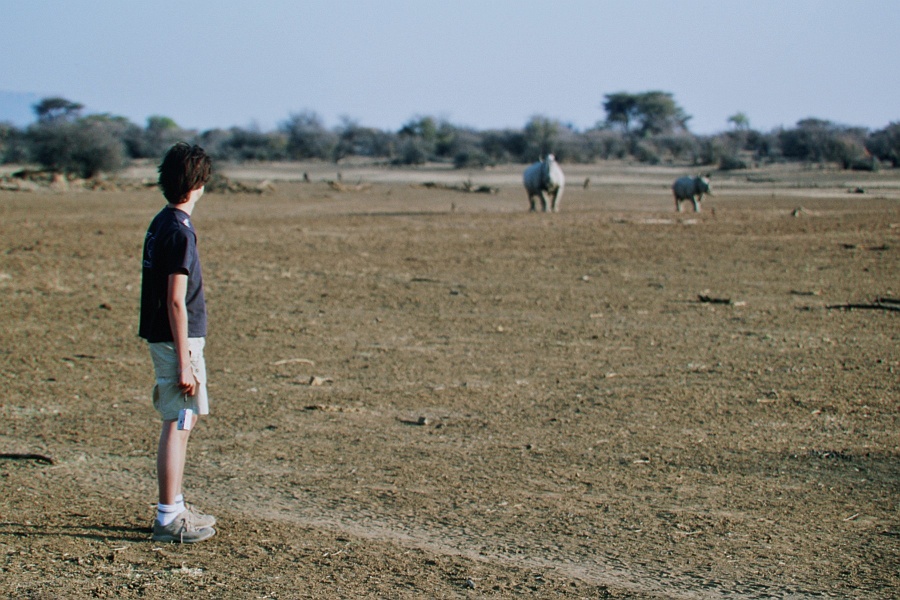 Namib619