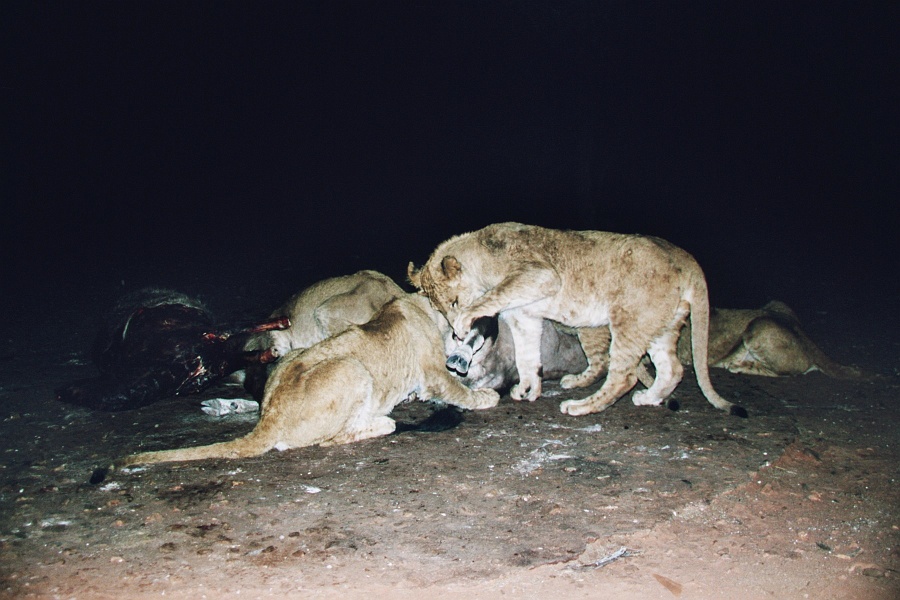 Namib630