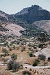 Namib319