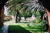 Namib636